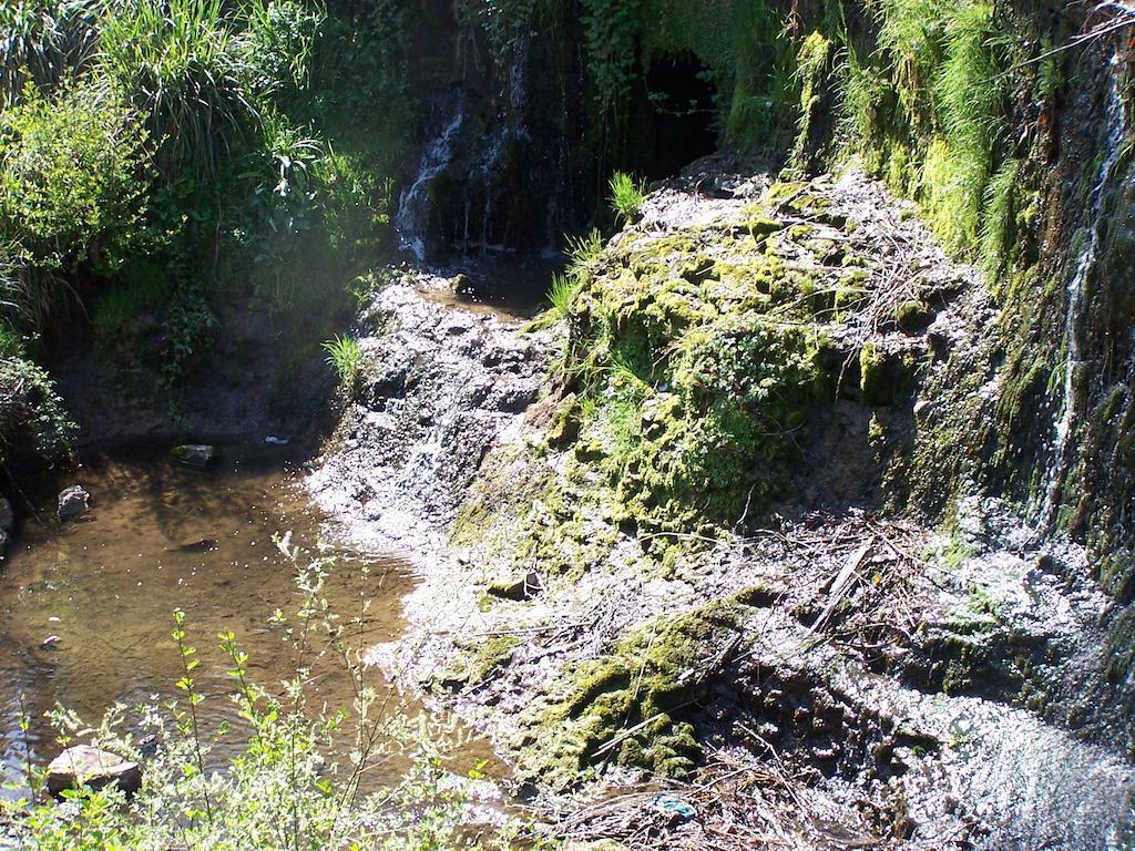 Hostellerie Restaurant Les Gorges De L'Aveyron Bruniquel Bagian luar foto